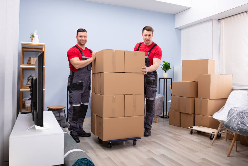Best Moving Company Near Me